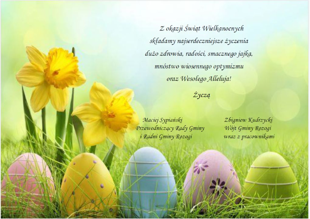 Życzenia z okazji Świąt Wielkanocnych w roku 2024 złożone przez Wójta Gminy Rozogi Zbigniewa Kudrzyckiego, na jasnozielonym tle kolorowe pisanki i kwitnące żonkile